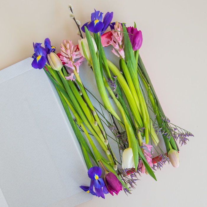 Brievenbusbloemen | Lente | Voorjaarsmix