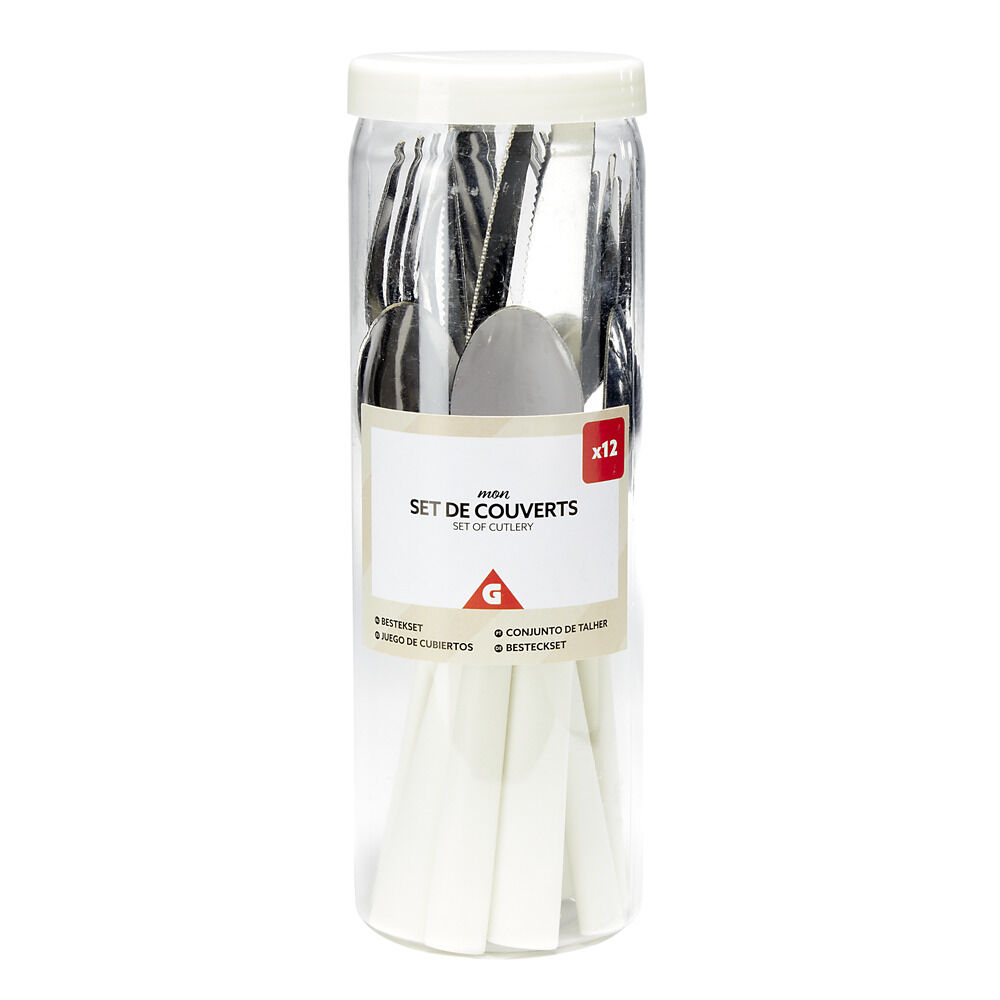 Ménagère couverts acier 12 pièces dans boîte plastique (4 modèles)