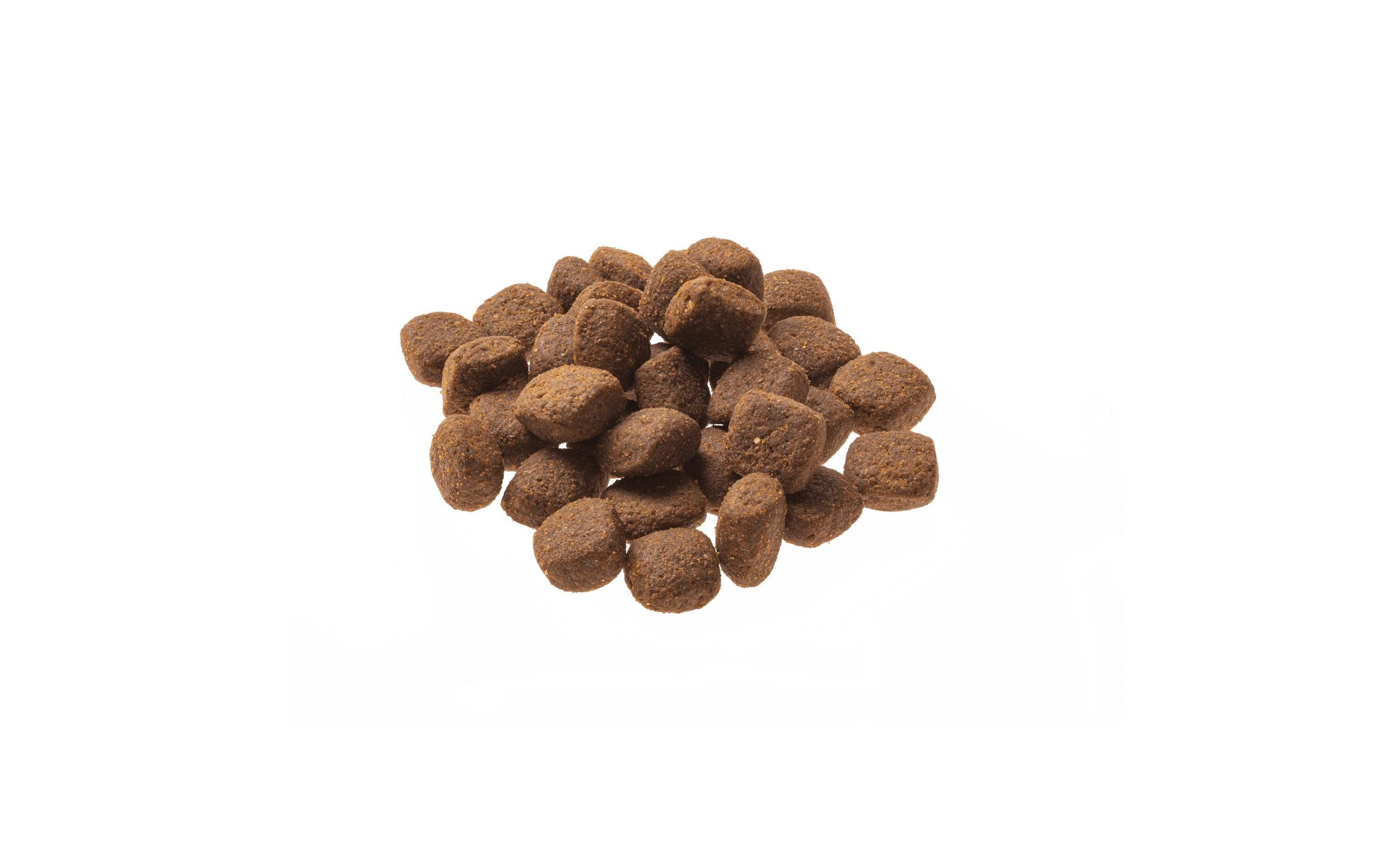 Trockenfutter Natural Taste Lachs & Pute 12 kgAlleinfuttermittel für ausgewachsene Hunde
