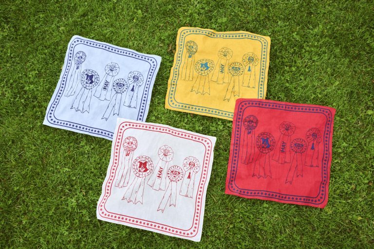 Hay Dogs hondensjaal 55x55 Light Blue