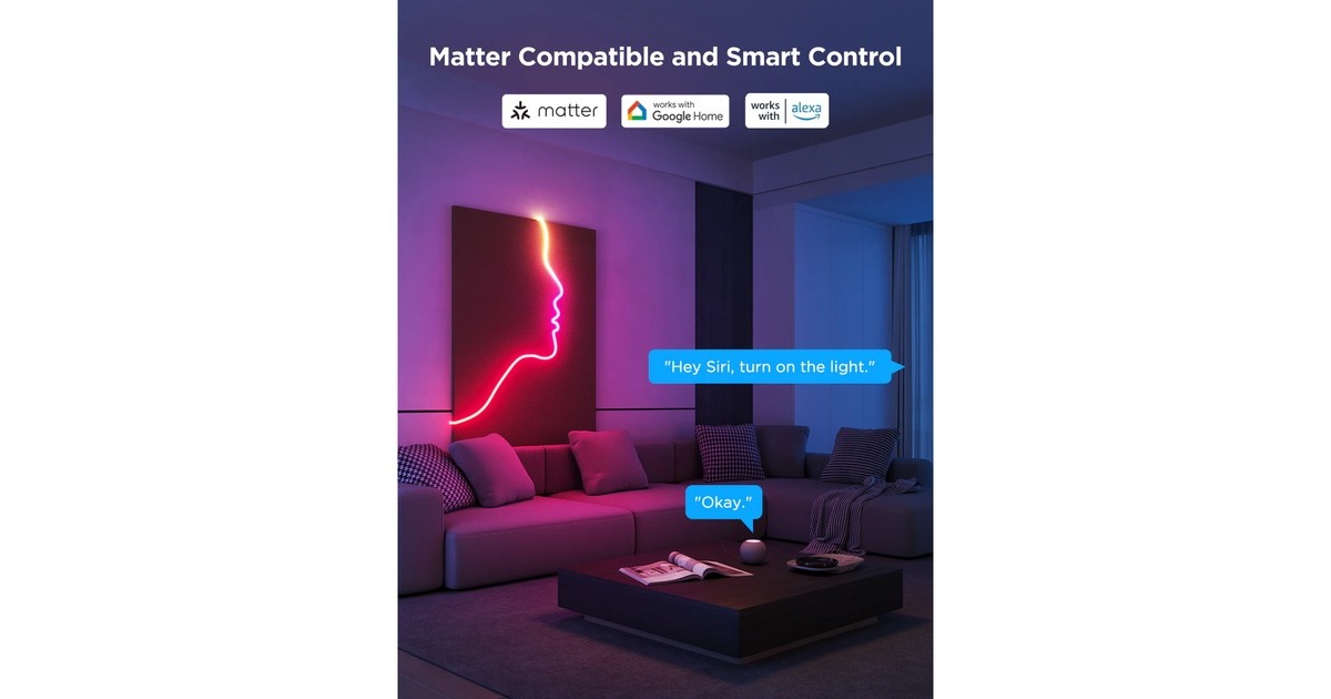 GoveeNeon Rope Light 2 ledstrip  (Zwart, 4 meter, 2,4GHz wifi, Bluetooth)