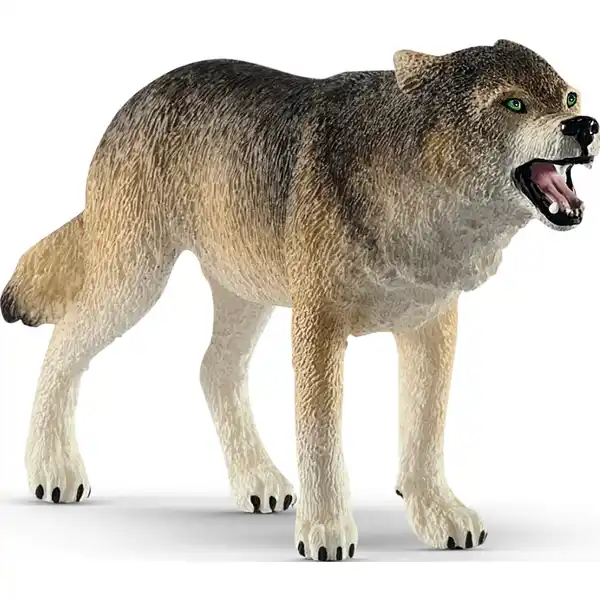14821 Wolf