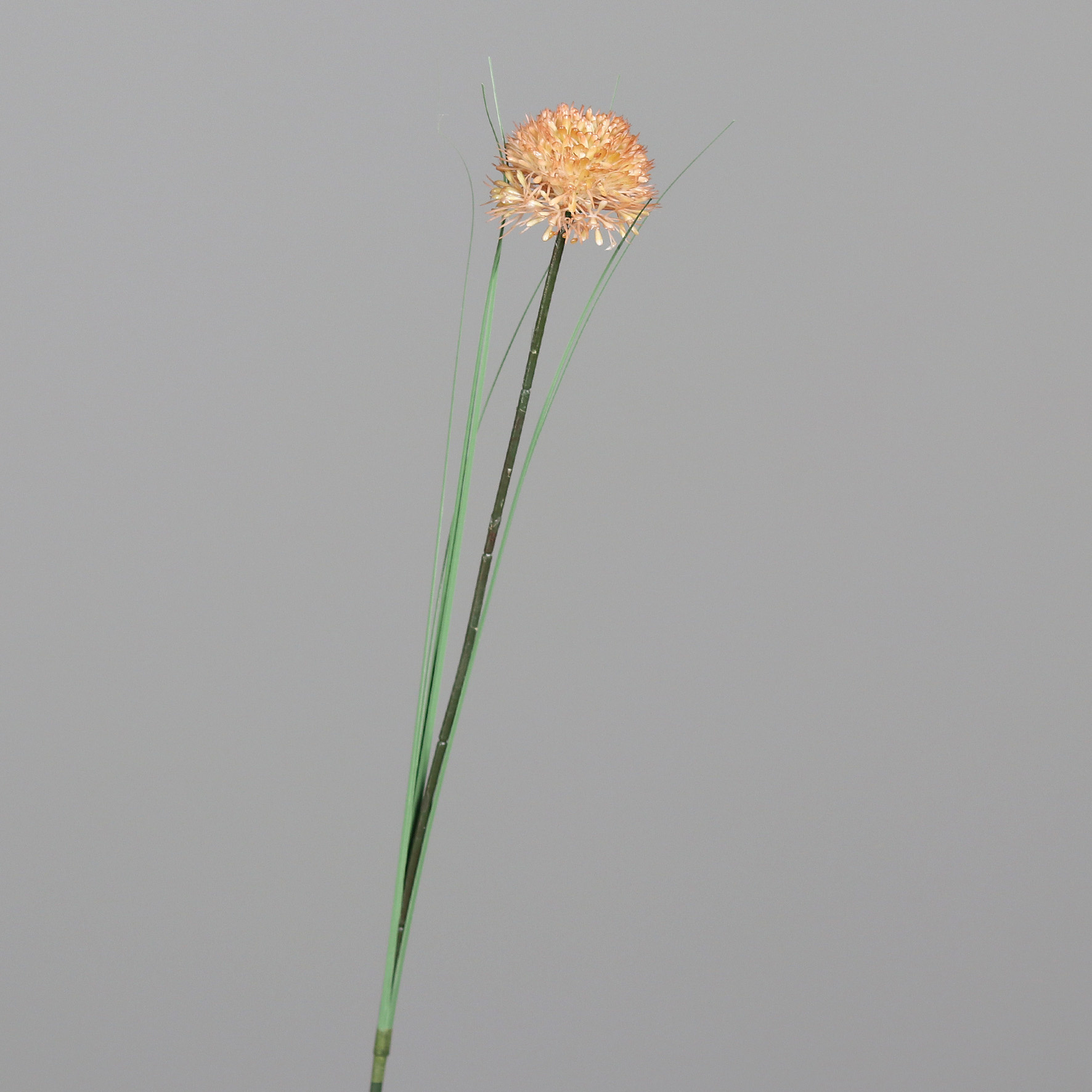 Kunstblume Allium
