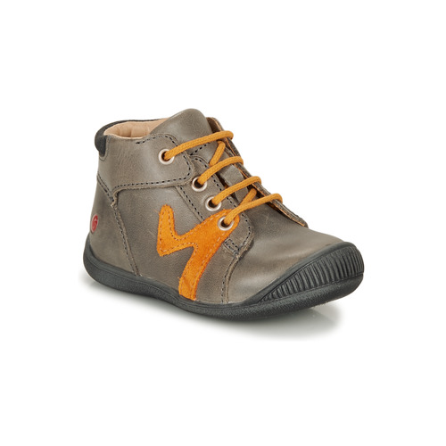 GBB - OVELO - Gris / Ocre