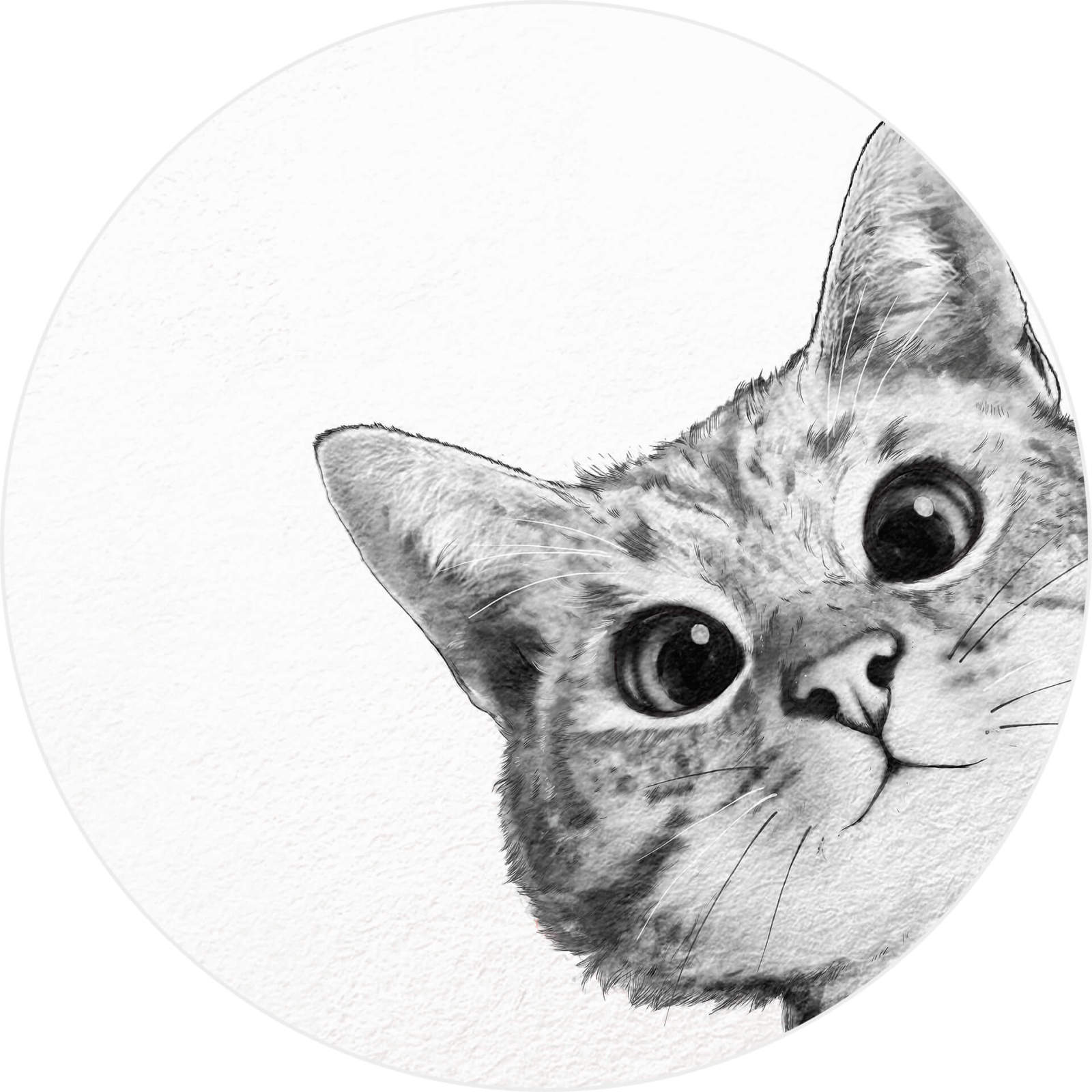 Fototapete DESIGNWALLS 2.0 - weiß-schwarz - Katze - 1,4 Meter