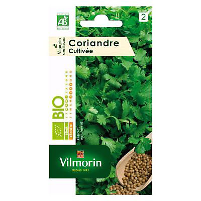Graines de Coriandre Cultivée Bio