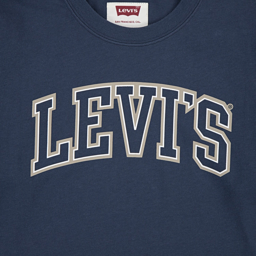 Køb Levi's Big Dipper Collegiate Ls Tee