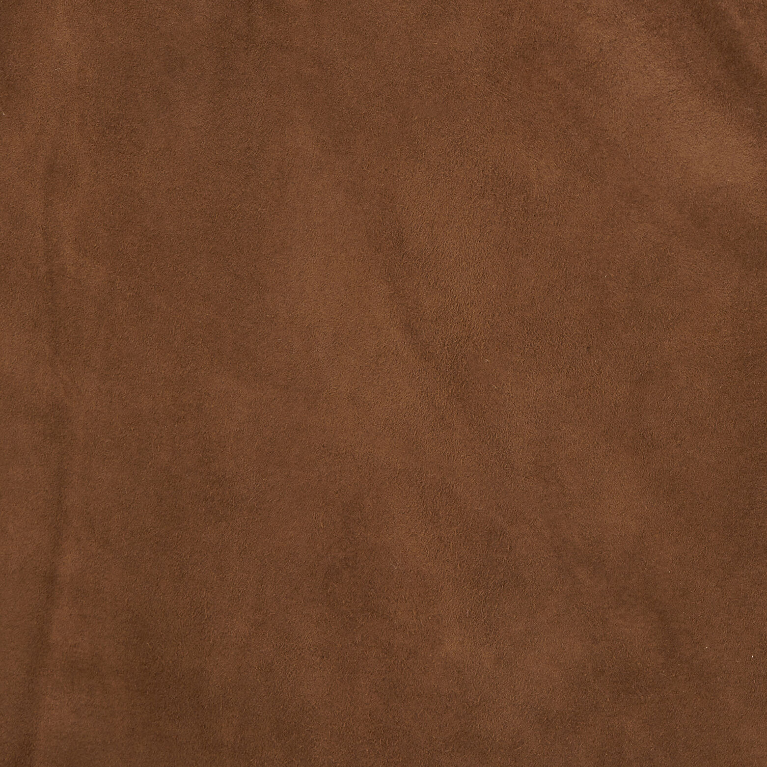Blouson en cuir Camel