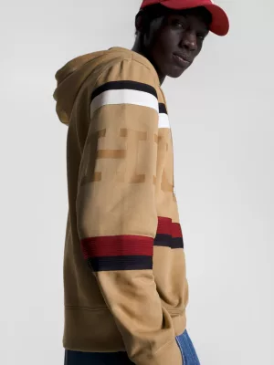 Moletom com capuz Global Stripe Hilfiger Monotype Logo