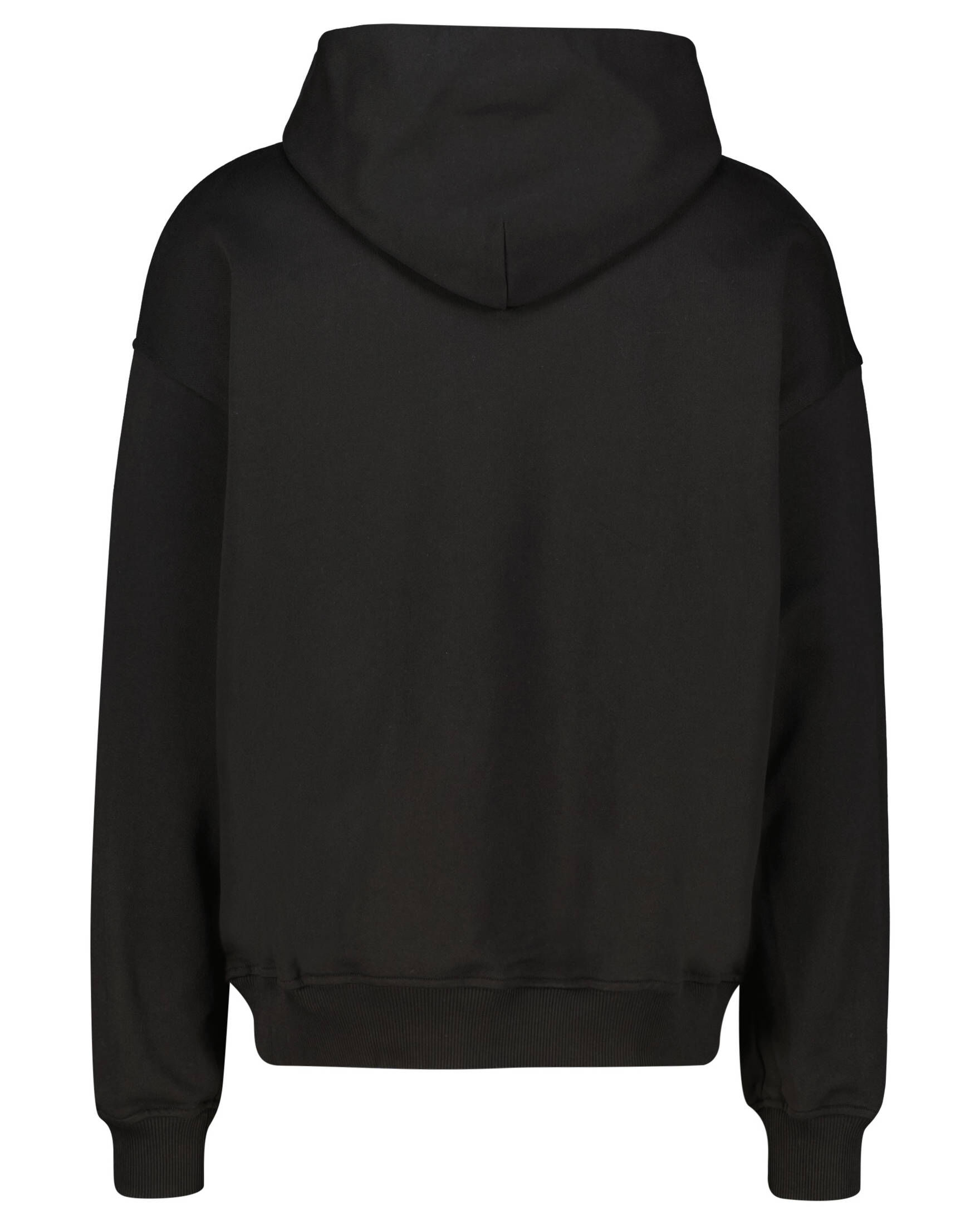 BLUE SKY INN| Herren Hoodie LOGO HOODIE