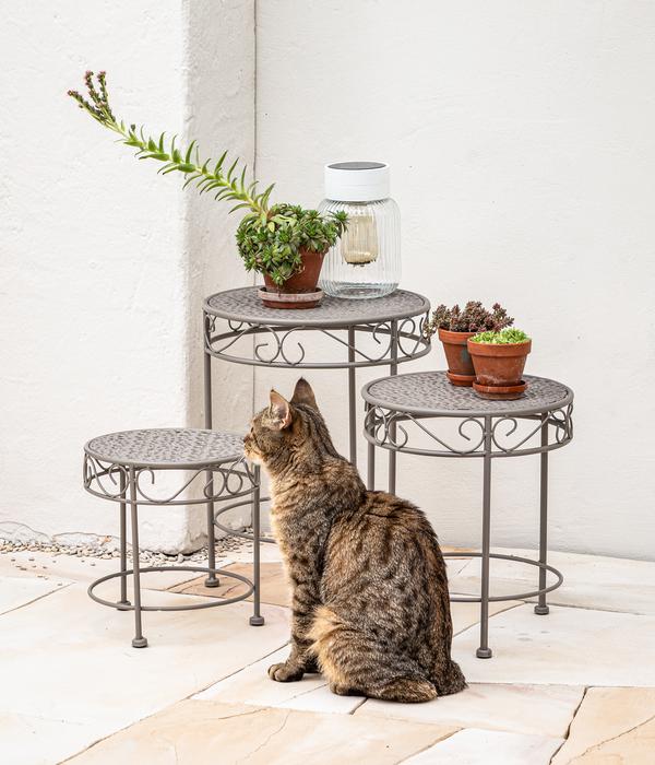 Dehner Blumenhocker Luca