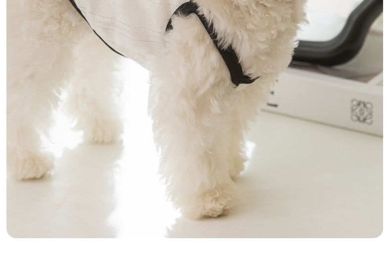 Cissilli - Pet Top met strik