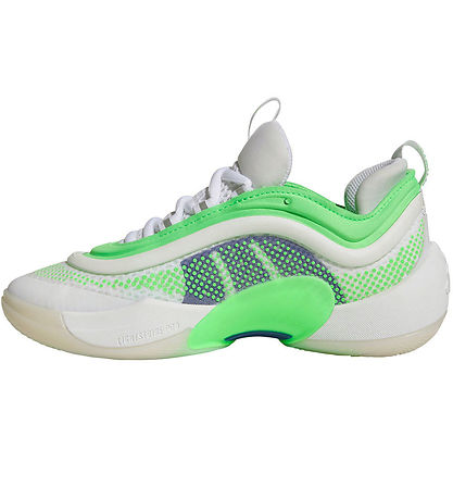 adidas Performance Schuhe - D.O.N ISSUE 6 J - Basketball - FTWWH
