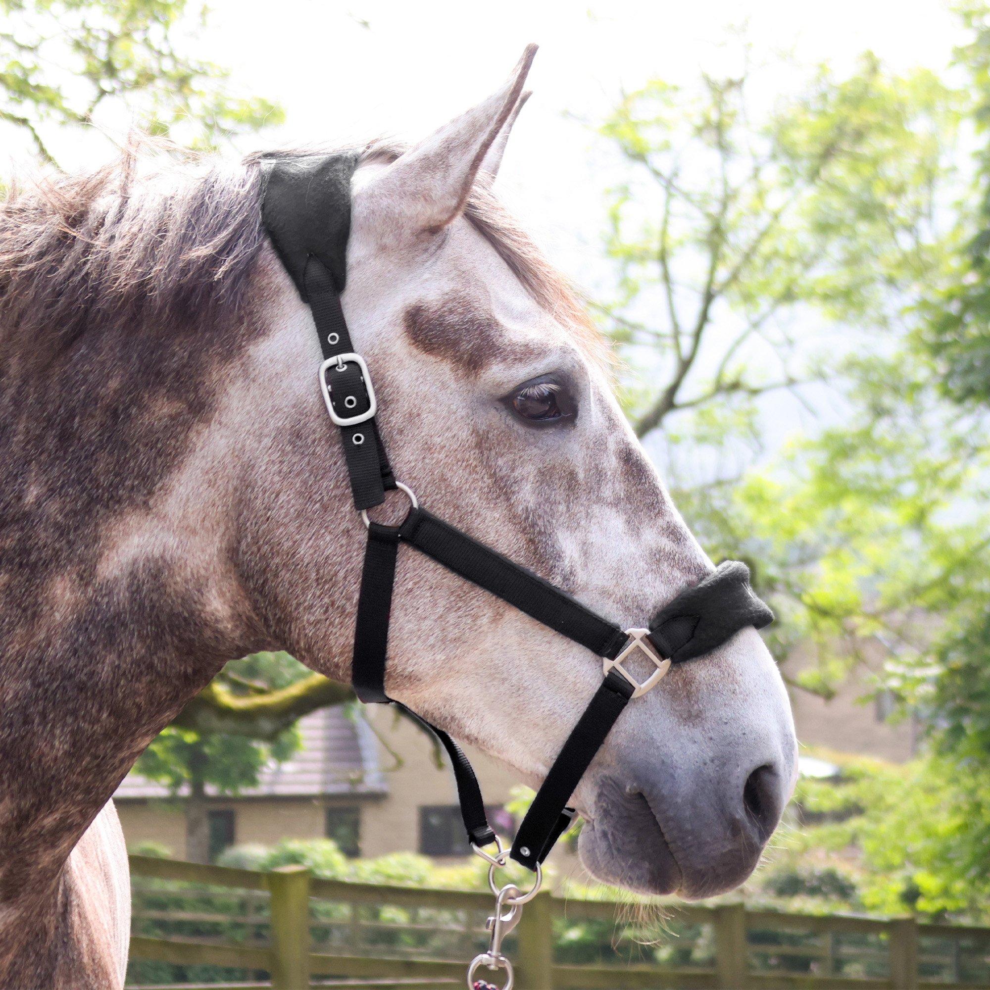 John Whitaker Club Headcollar and Lead Rope Set