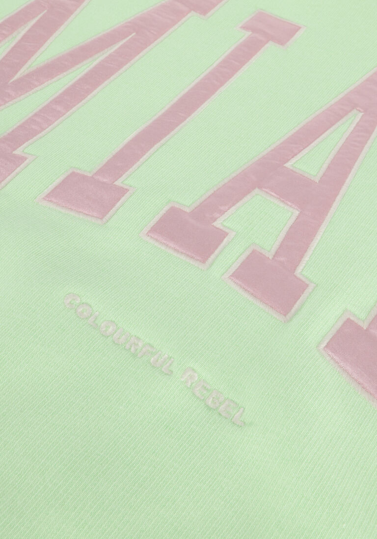 COLOURFUL REBEL lime colourful rebel trui miami patch cropped sweat