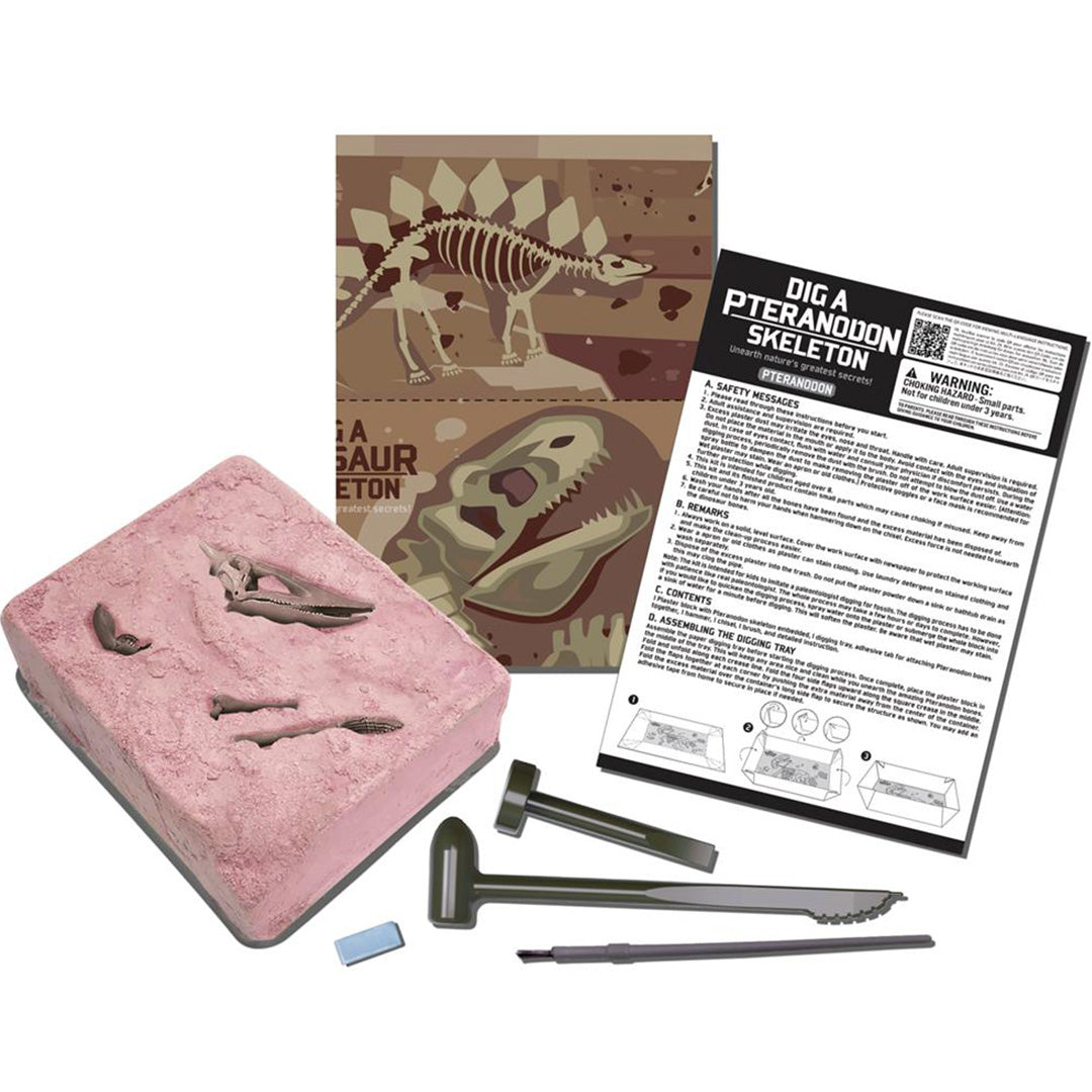 4m dinosaurus opgraven - pteranodon