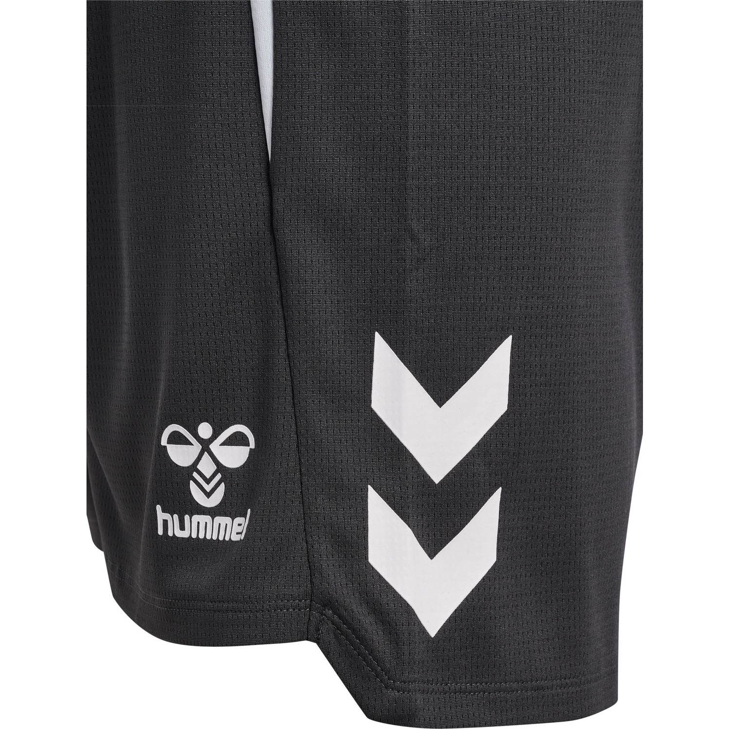 Hummel Lead 2.0 Shorts Heren