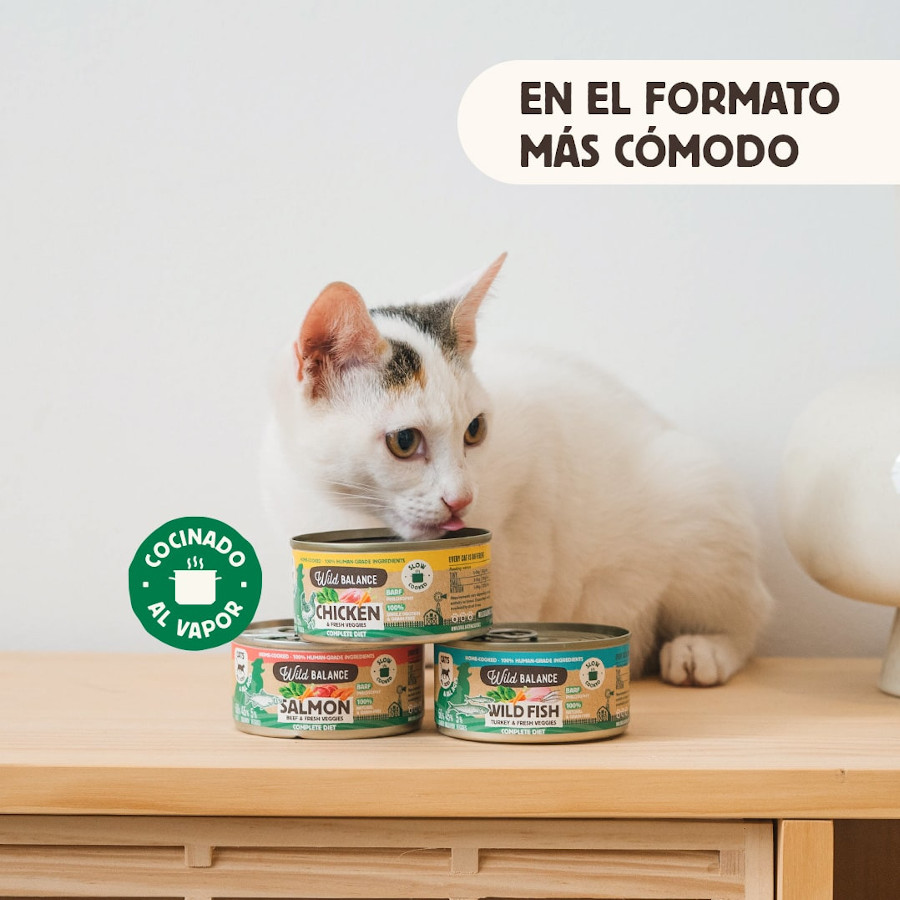 Ração enlatada Wild Balance BARF de Frango e Vegetais para gatos