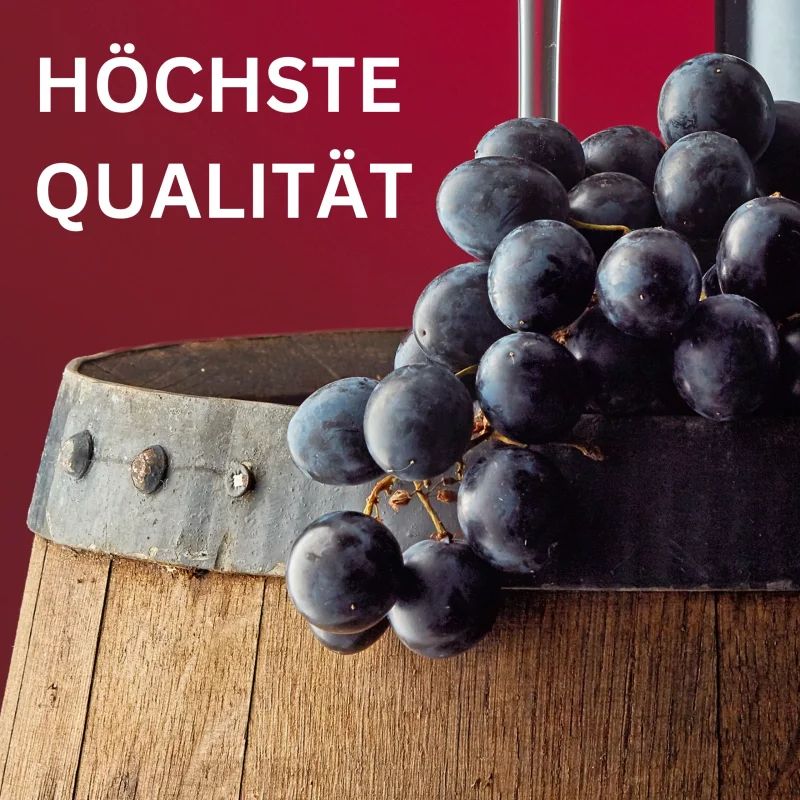 OPC - Traubenkernextrakt hochdosierte Kapseln reines OPC von VitaminFuchs