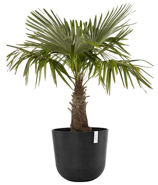 Ecopots Kunststoff-Topf Oslo mit Wassersystem,