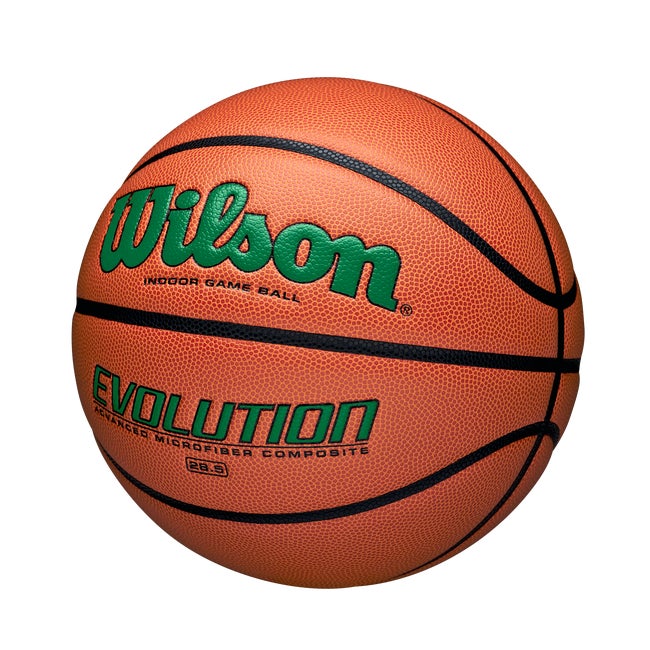 Evolution Game Basketball