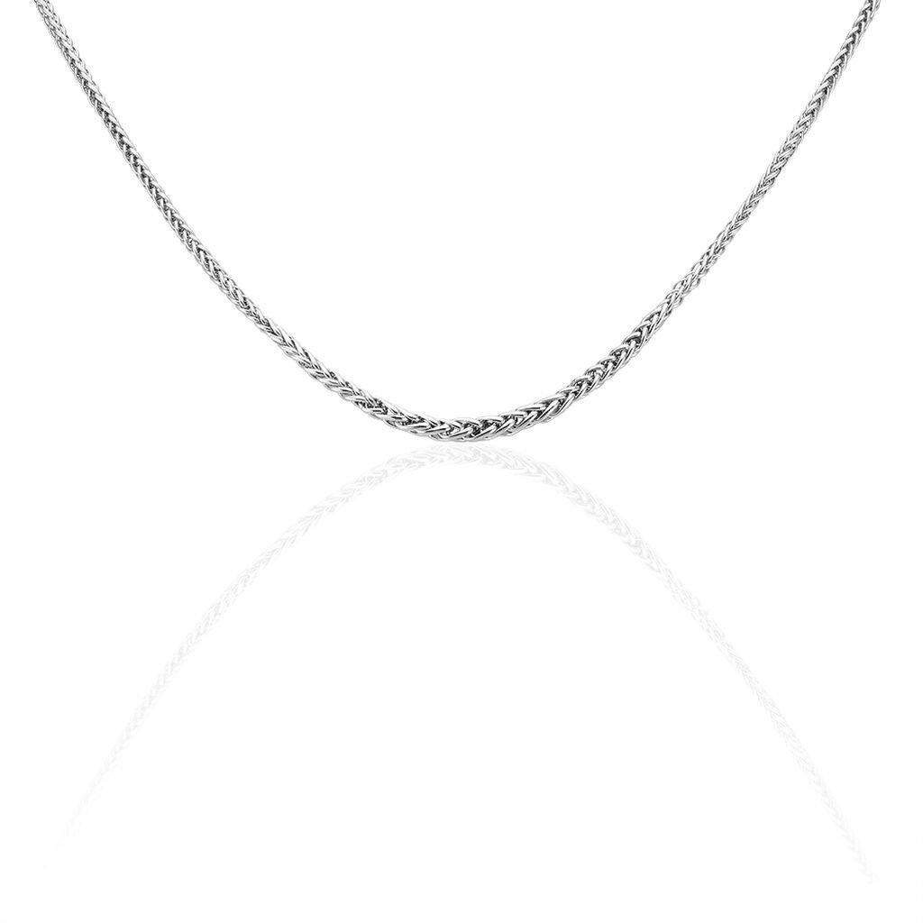 Chaîne Jayna Danilo Maille Palmier Or Blanc