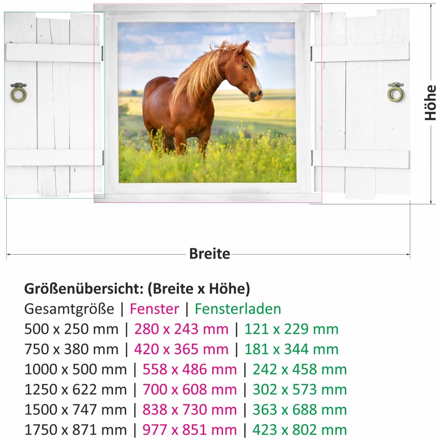 Nikima Wandtattoo 181 Pferd Wiese im Fenster in 6 vers. Größen bunt