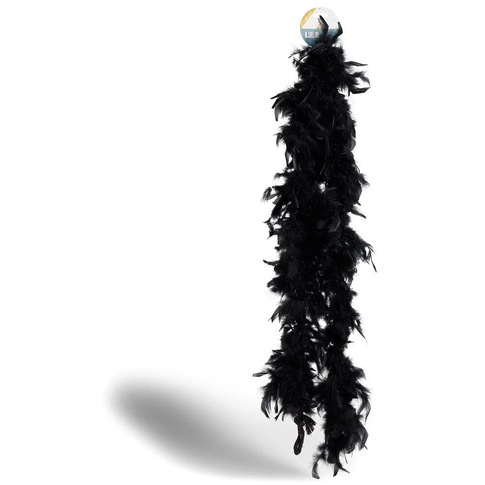 Boa plume noir ou blanc 200cm