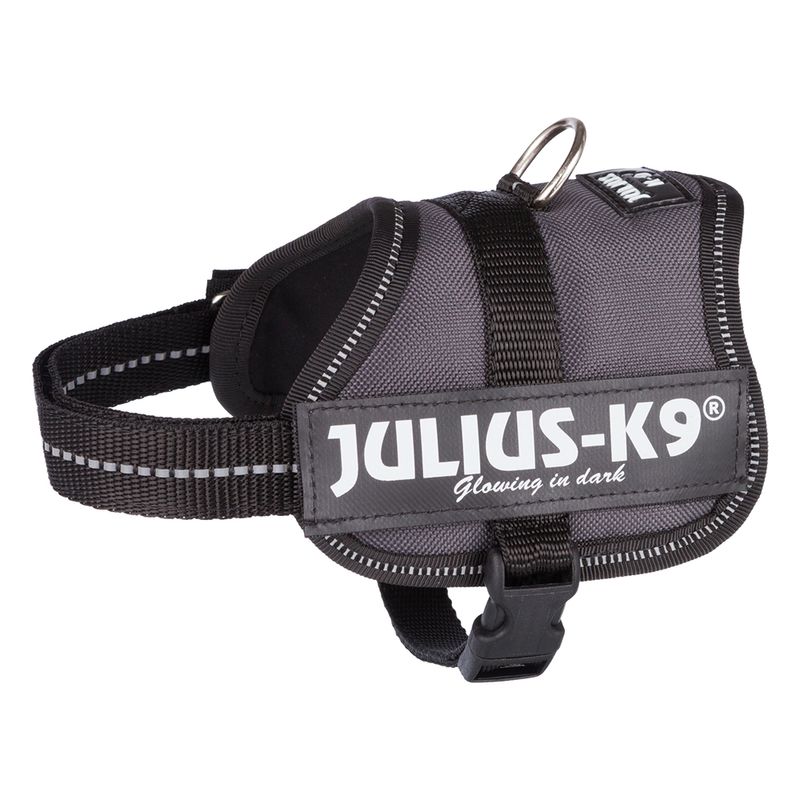 Harnais Julius-K9 Power, anthracite