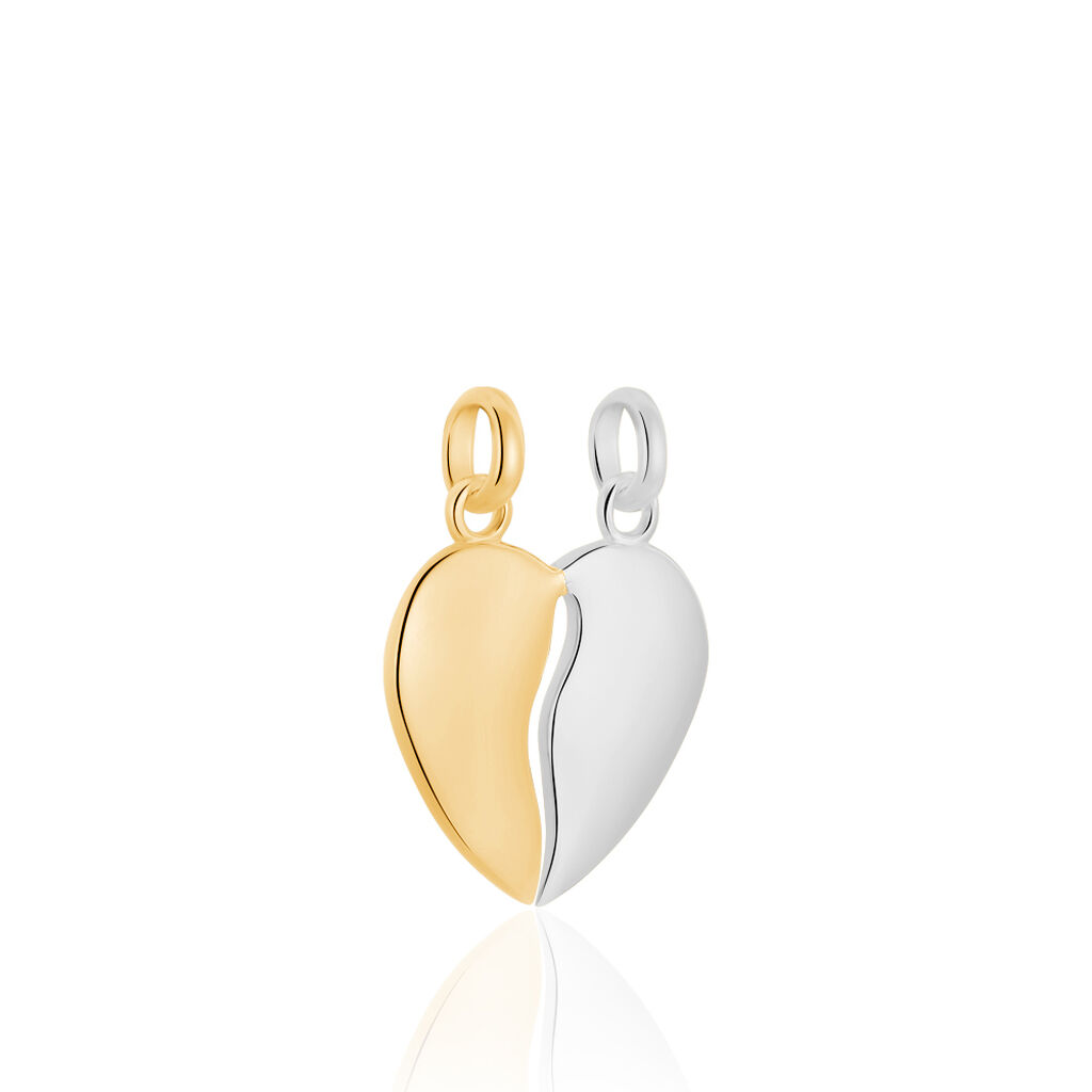 Pendentif Marie-stephanie Plaqué Or Bicolore