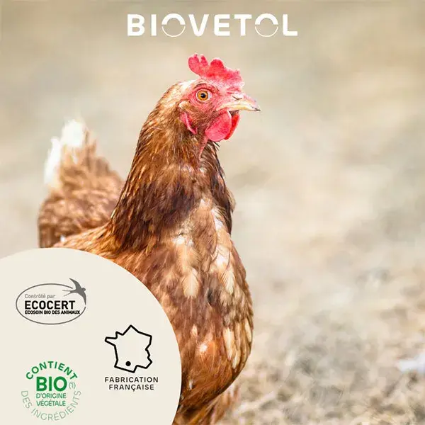 Biovetol - Antiparasitário - Pipetas para aves - 1ml (x12)