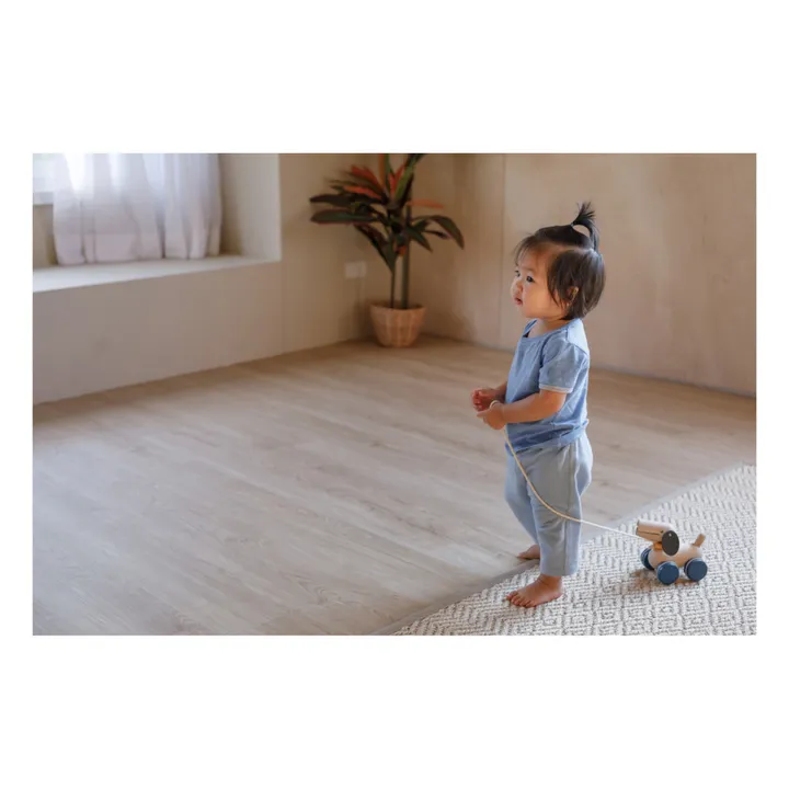 Plan Toys Mon chien à tirer et à pousser Tendresse