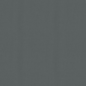 KARWEI rolgordijn lichtdoorlatend antraciet (kleurnr. 5742) 120x190 cm (bxh)