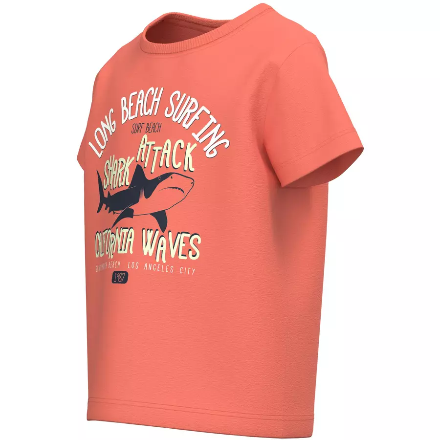 name it T-Shirt Nmmvagno Coral