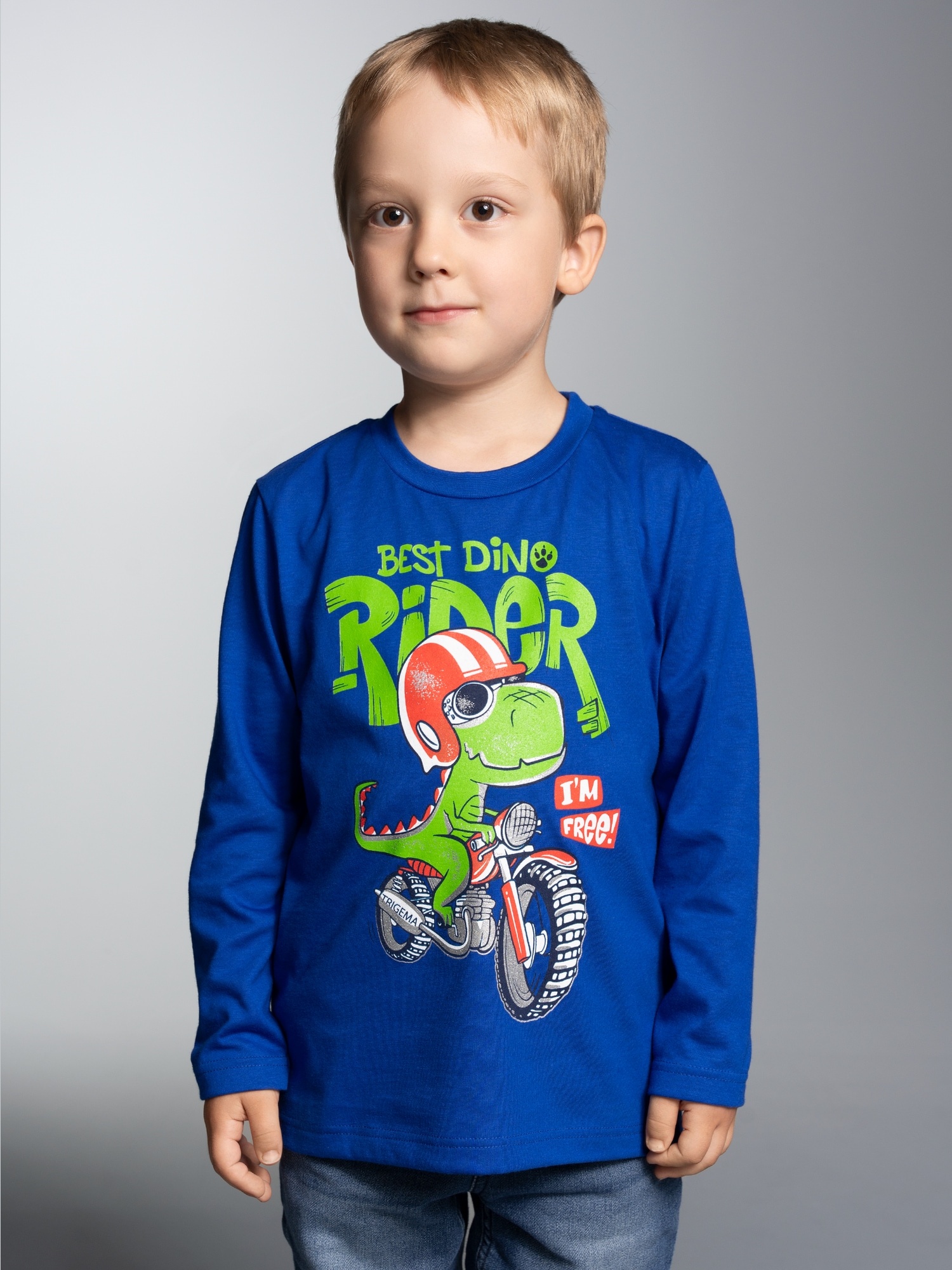 Langarmshirt mit coolem Dino-Printmotiv Royal