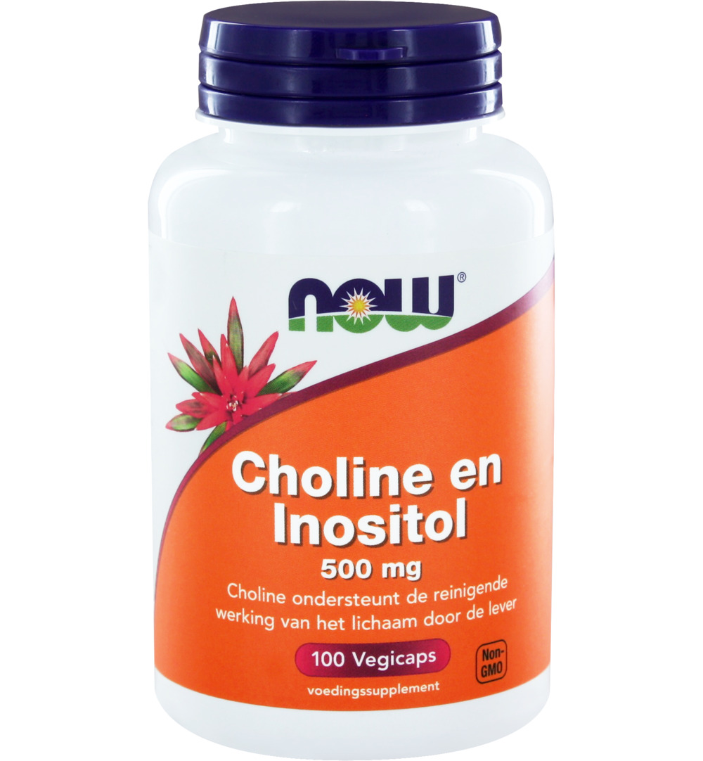 Now Choline en inositol 500 mg (100 vega capsules)