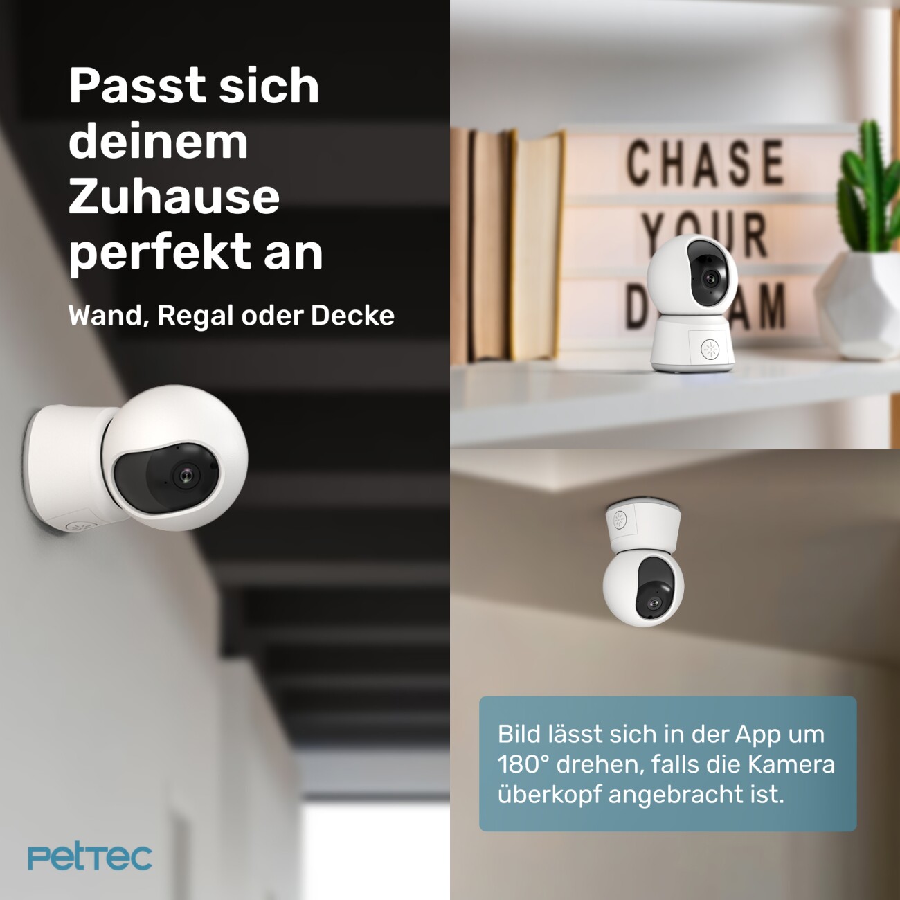 PetTec Haustierkamera Laser
