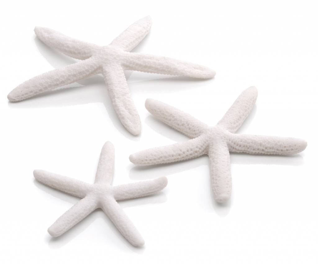 biOrb Star Fish