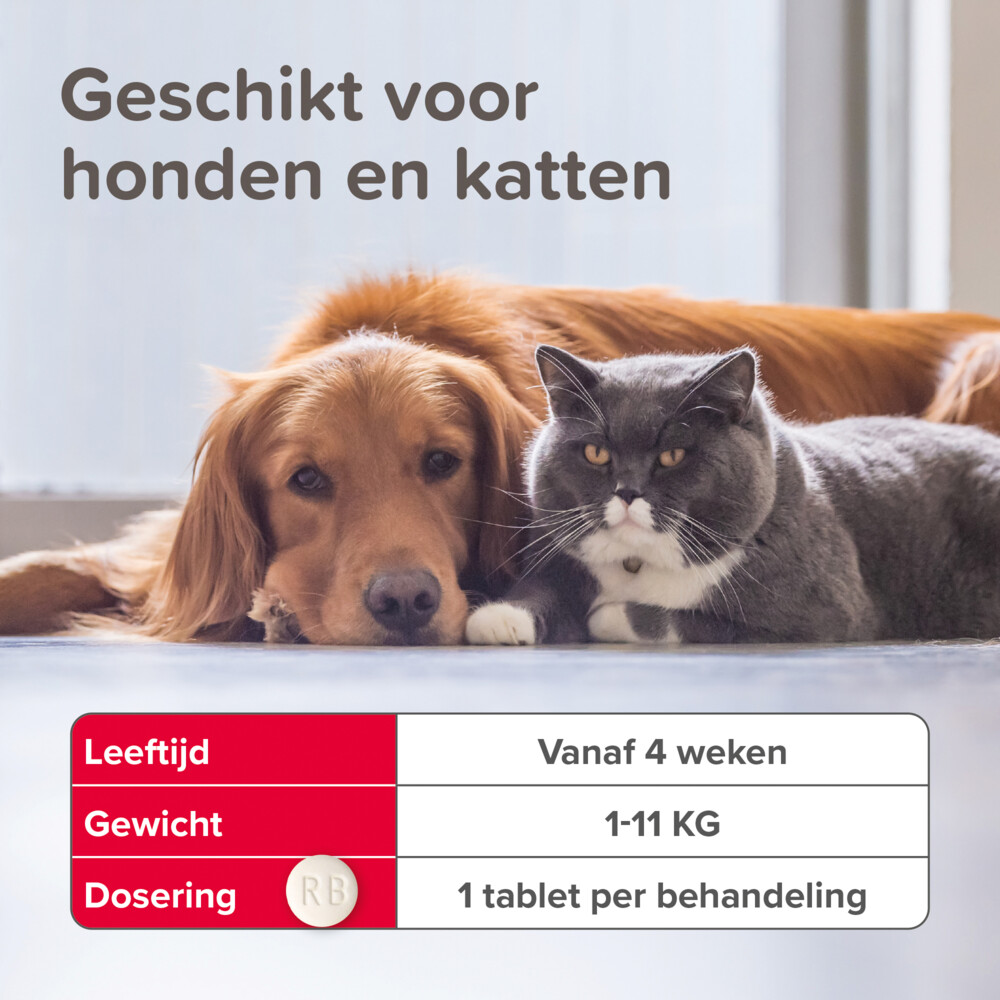 Beaphar Vlo Kill Anti Vlooien Tabletten Hond 1 -11 kg6 tabletten