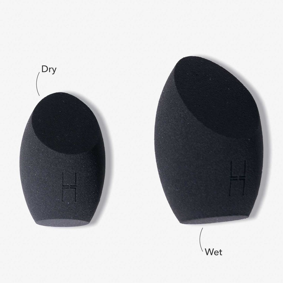 LH Cosmetics The Other Sponge