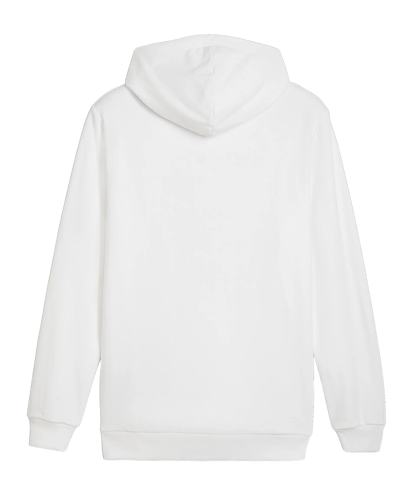 PUMA Borussia Mönchengladbach ftblCulture Hoody Weiss F06