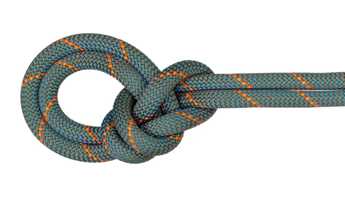 Mammut 9.9 Crag Workhorse Dry Rope Dry Standard, 80 m Boa-Ocean