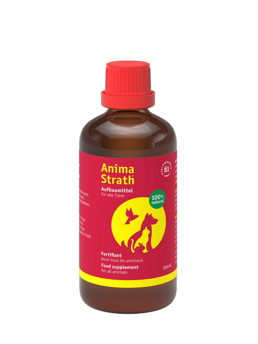 STRATH liq Fl 100 ml<br>100 ml, Flasche, flüssig