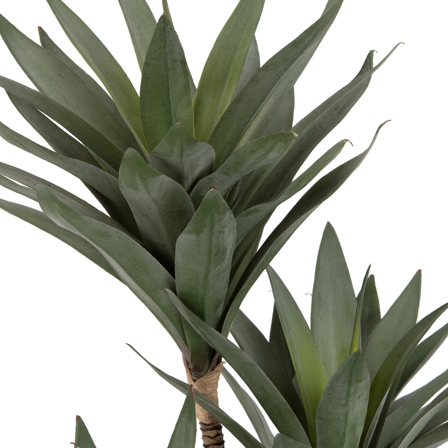 Intratuin kunstplant Drakenbloedboom 91 cm