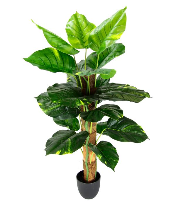 I.GE.A. Kunstpflanze Pothos im Topf, ca. H80