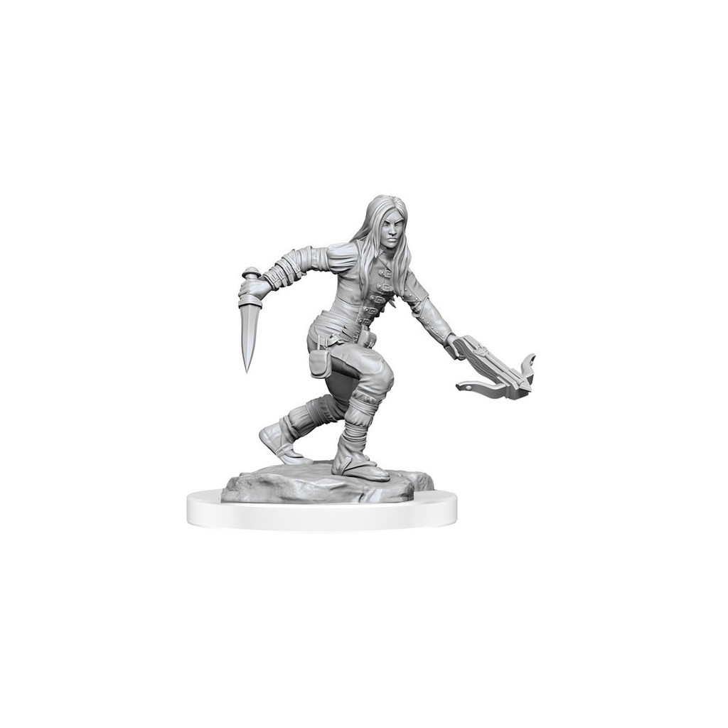D&D Nolzur's Marvelous Unpainted Miniatures: Half-Elf Rogue Female