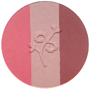 Benecos Blush Compact Trio 5GR