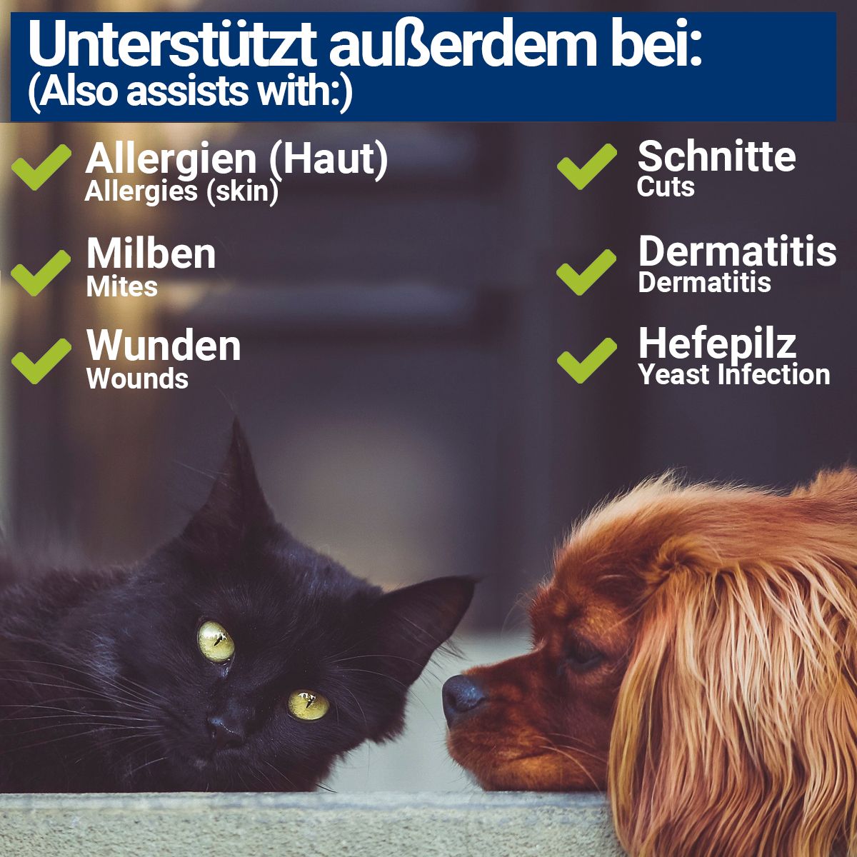 BMUT Kolloidales Silber Spray für Haustiere