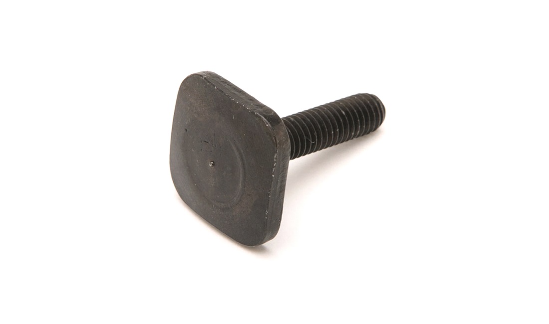 Bolt Thule 31465