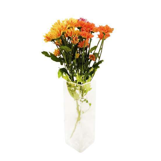 Botte de Chrysanthèmes unifleur - 3 tiges : coloris variables